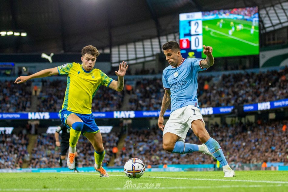 本的篮球实 本的篮球实