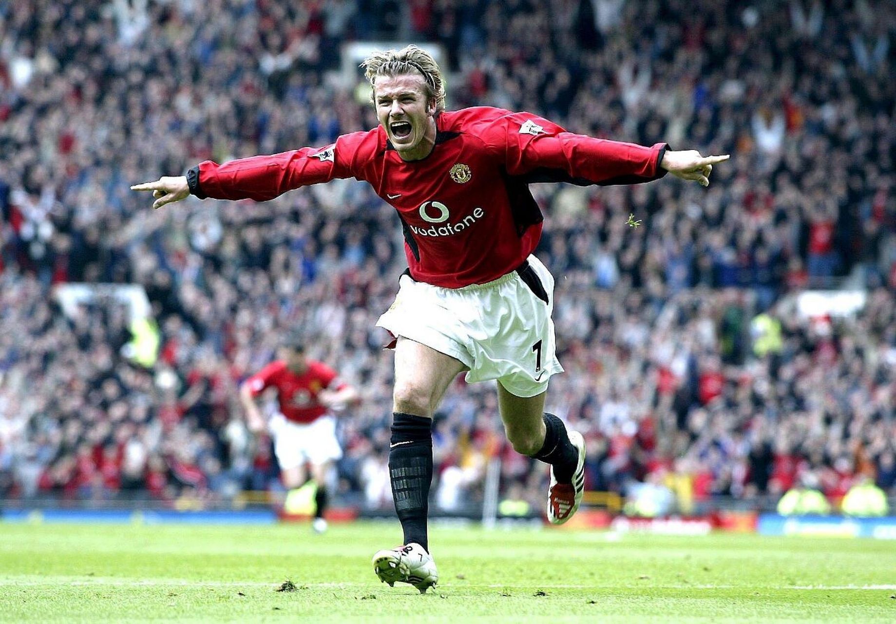 发掘和培养 发掘和培养